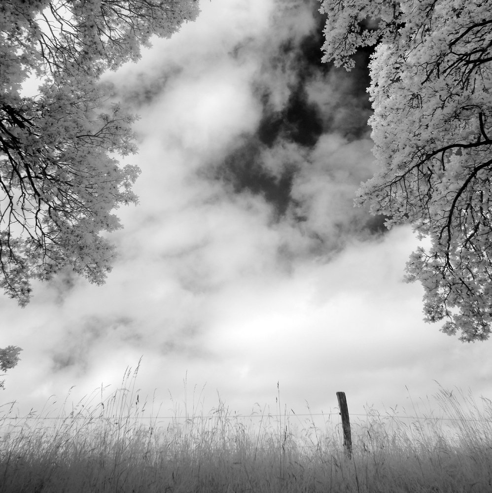 Photograph by Rene Roalf