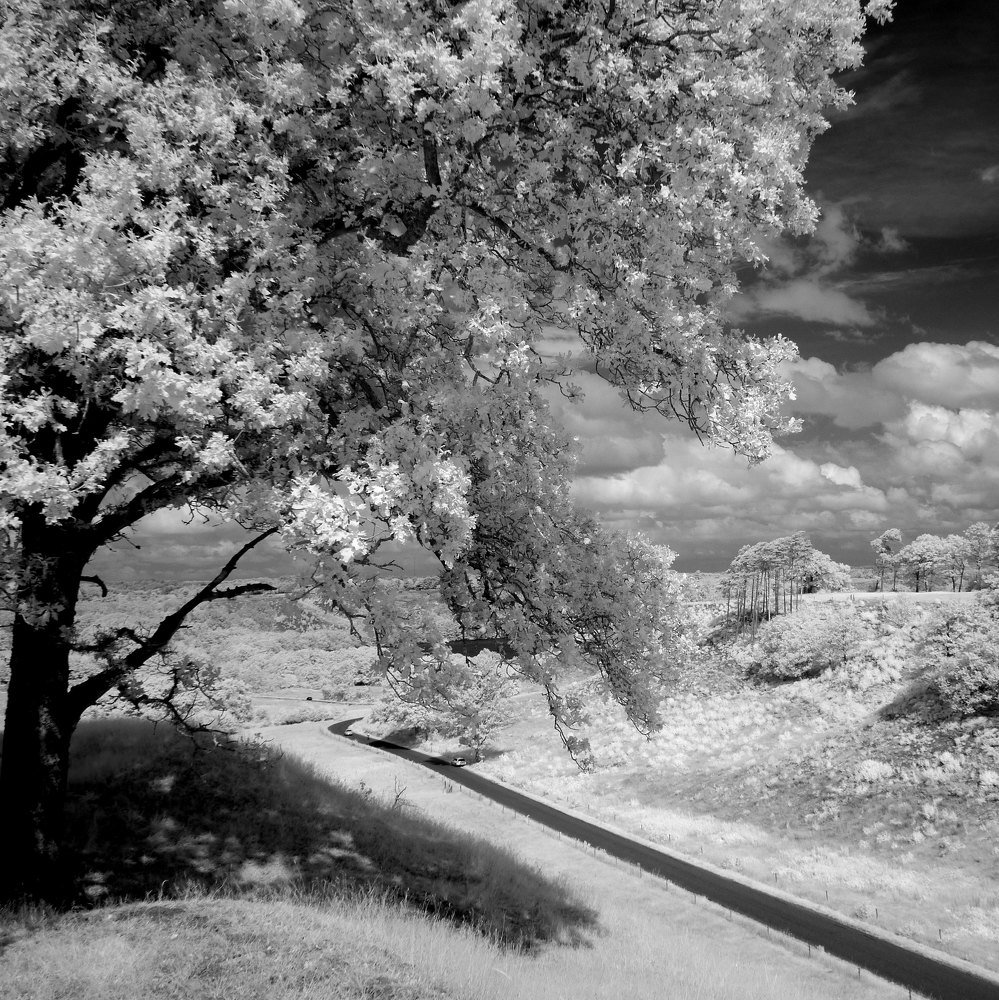 Photograph by Rene Roalf