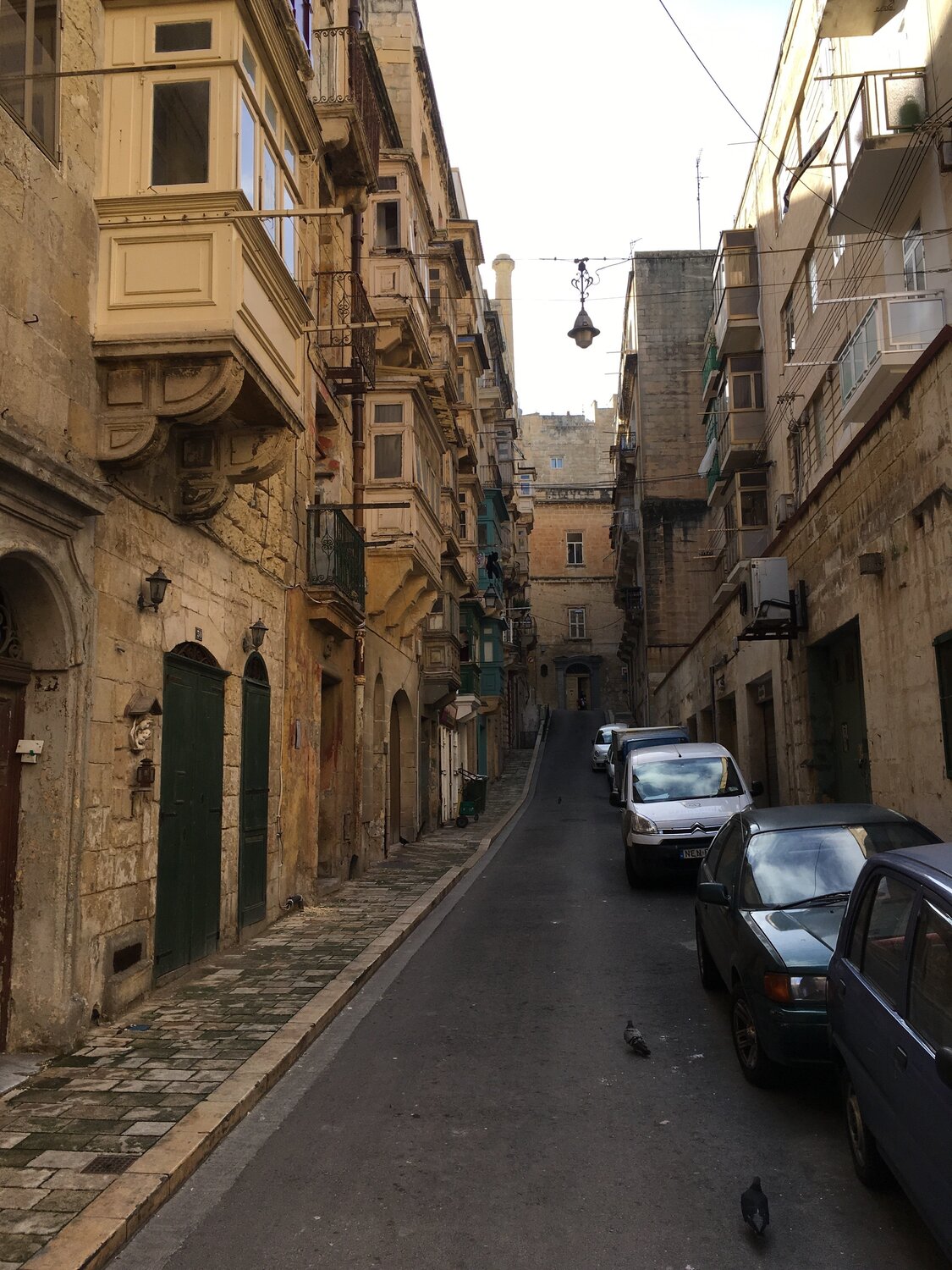 Photo #4027279