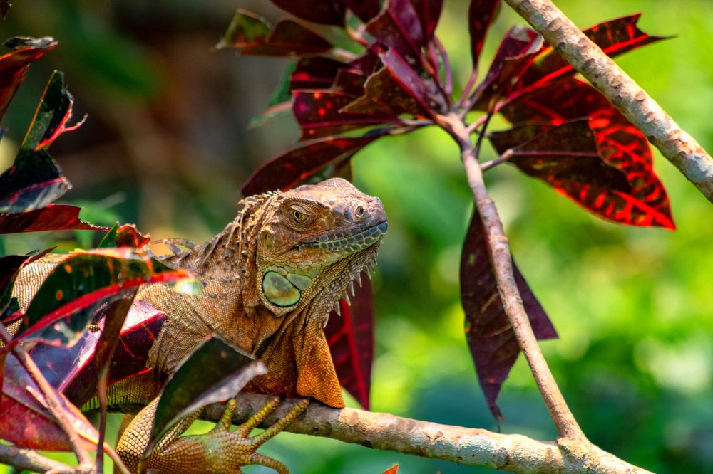 Photograph by Мари Полищук