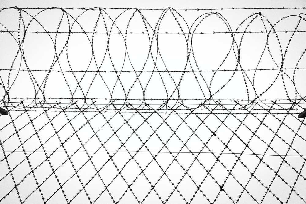 Фотография автора Josef Nový