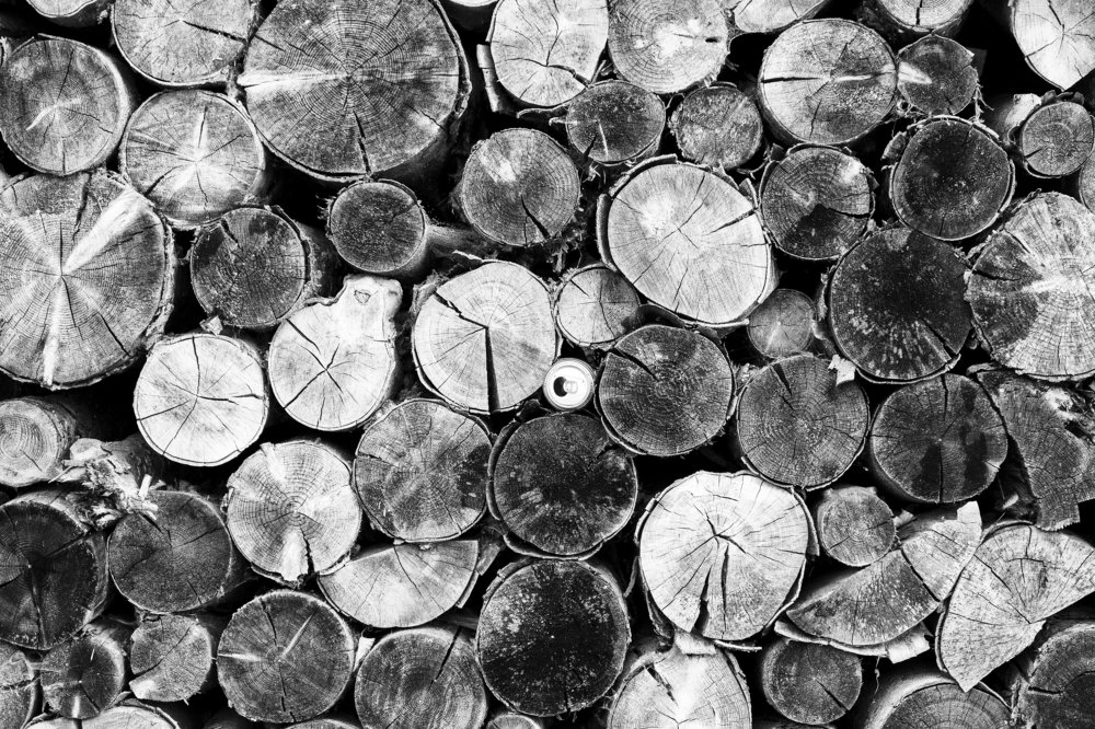 Фотография автора Josef Nový