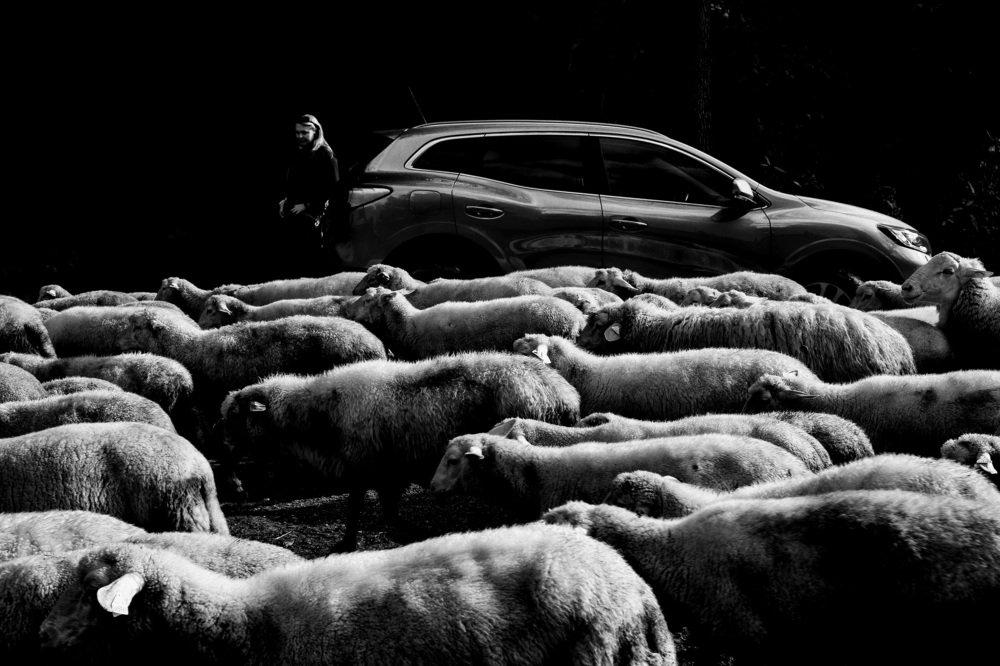 Фотография автора Josef Nový