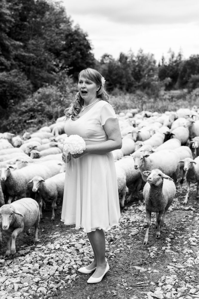 Фотография автора Josef Nový