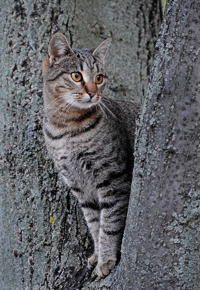 Photograph by Елена Василева