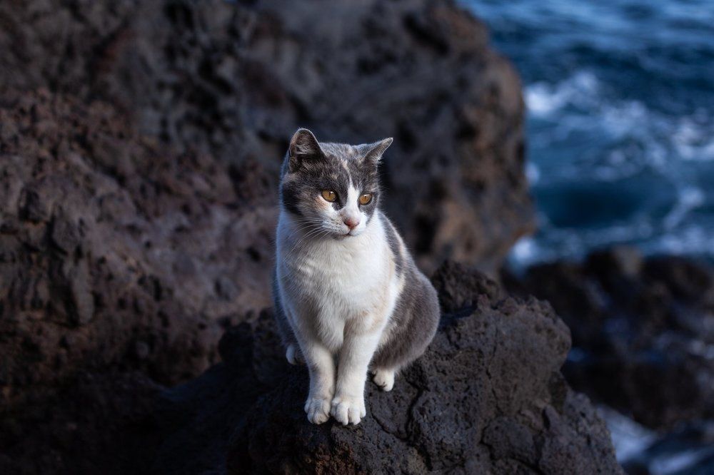 Photograph by Jose Luis Mendez Fernandez