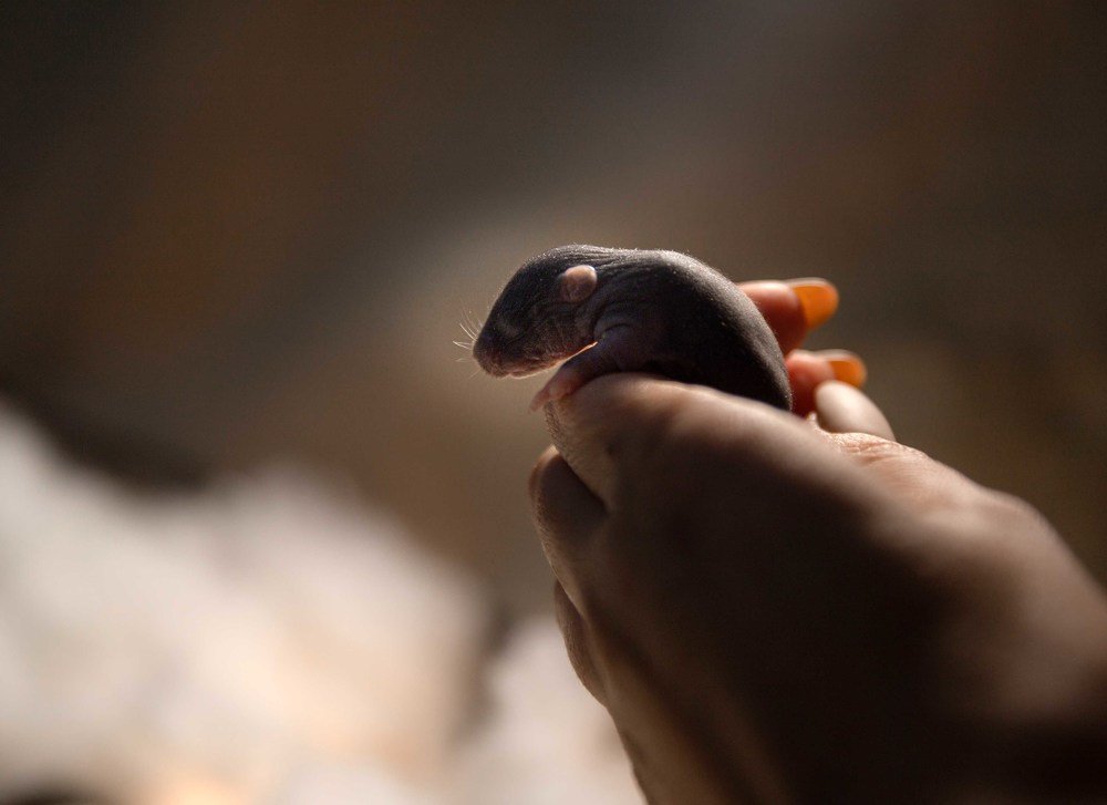 Photograph by Маргарита Федурина