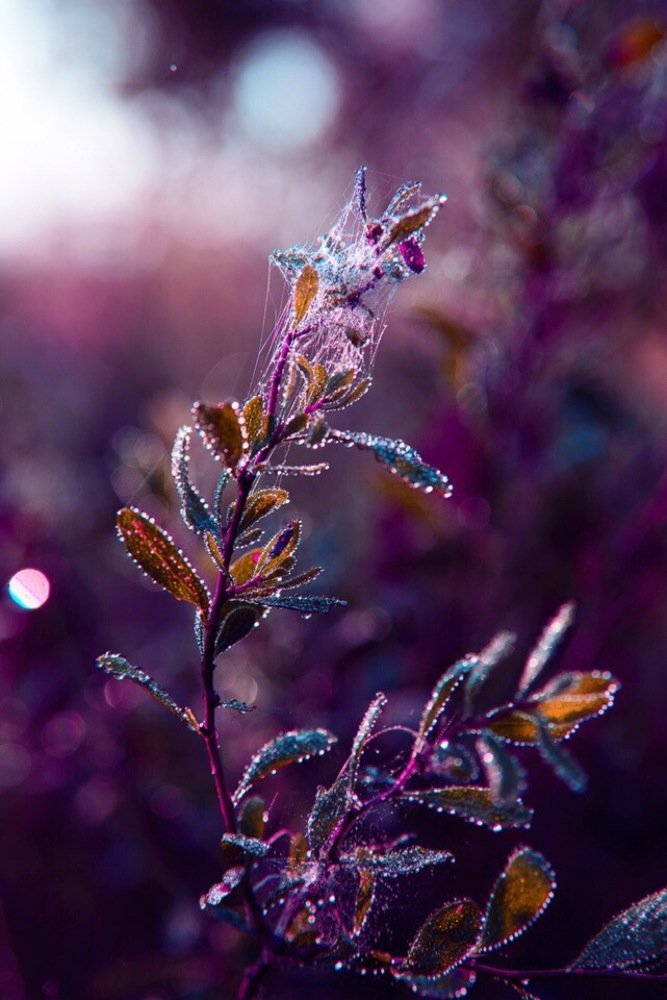 Photograph by Печерских Ксения