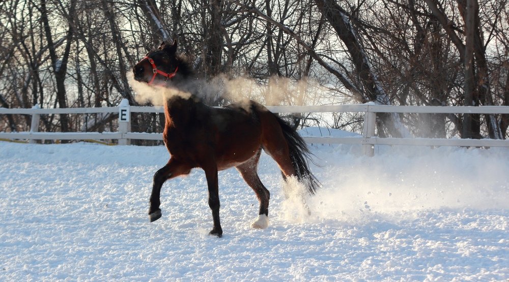 Photograph by Ольга