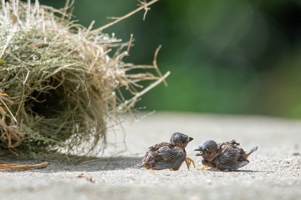 Photograph by Yazir Zubair