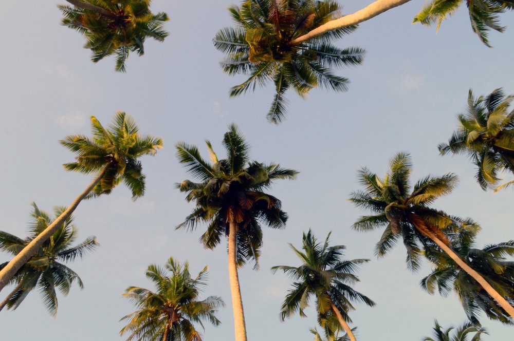 Photograph by anirudha