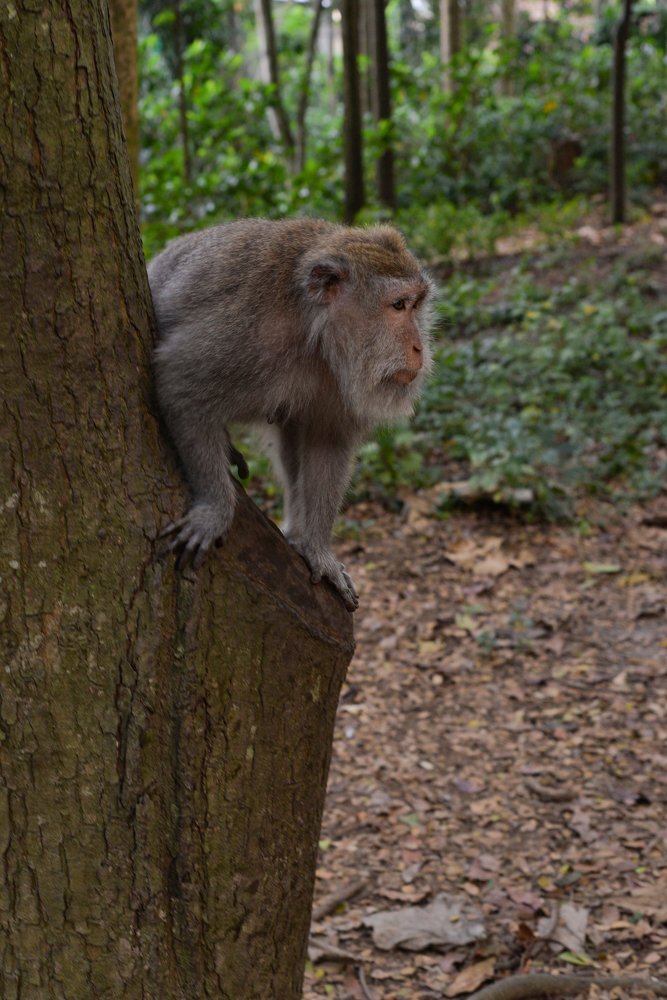 Photograph by Roozbeh Rahiminejat