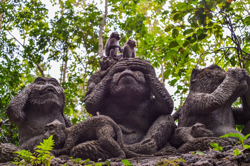 Photograph by Roozbeh Rahiminejat