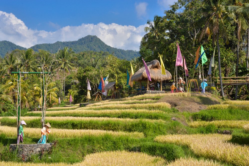 Photograph by Roozbeh Rahiminejat