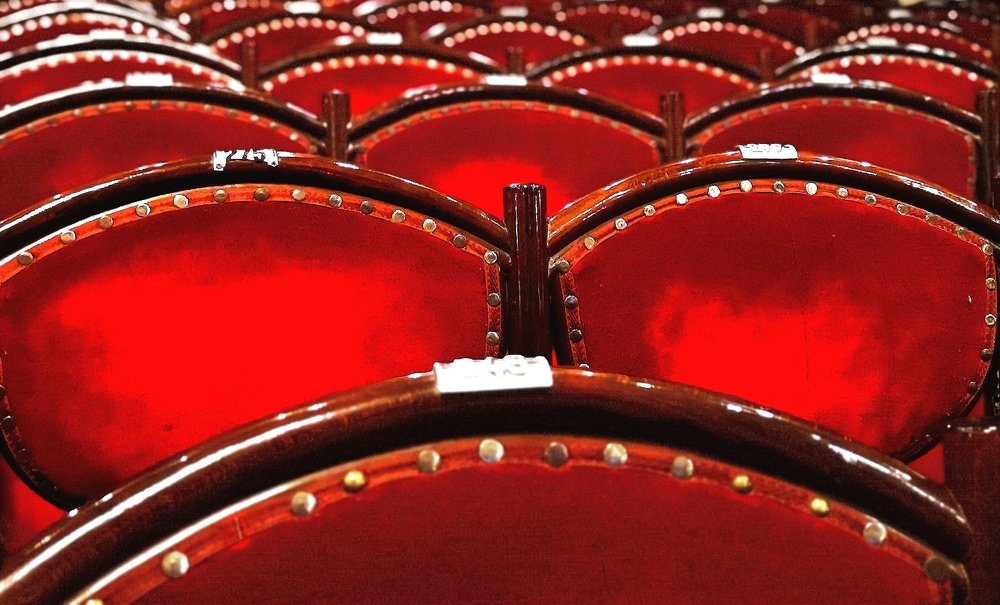 Photograph by Nicoleta Cherechesiu