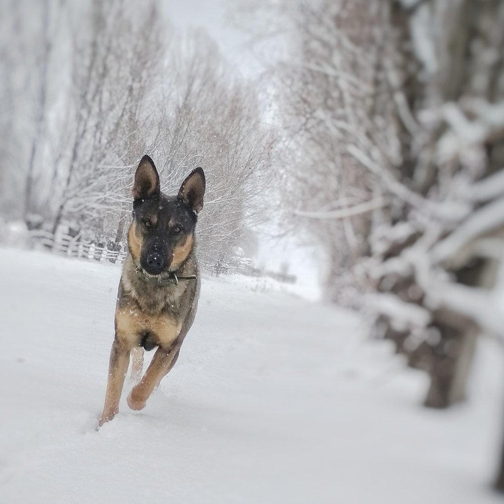 Photograph by Aygerim Zhusupova