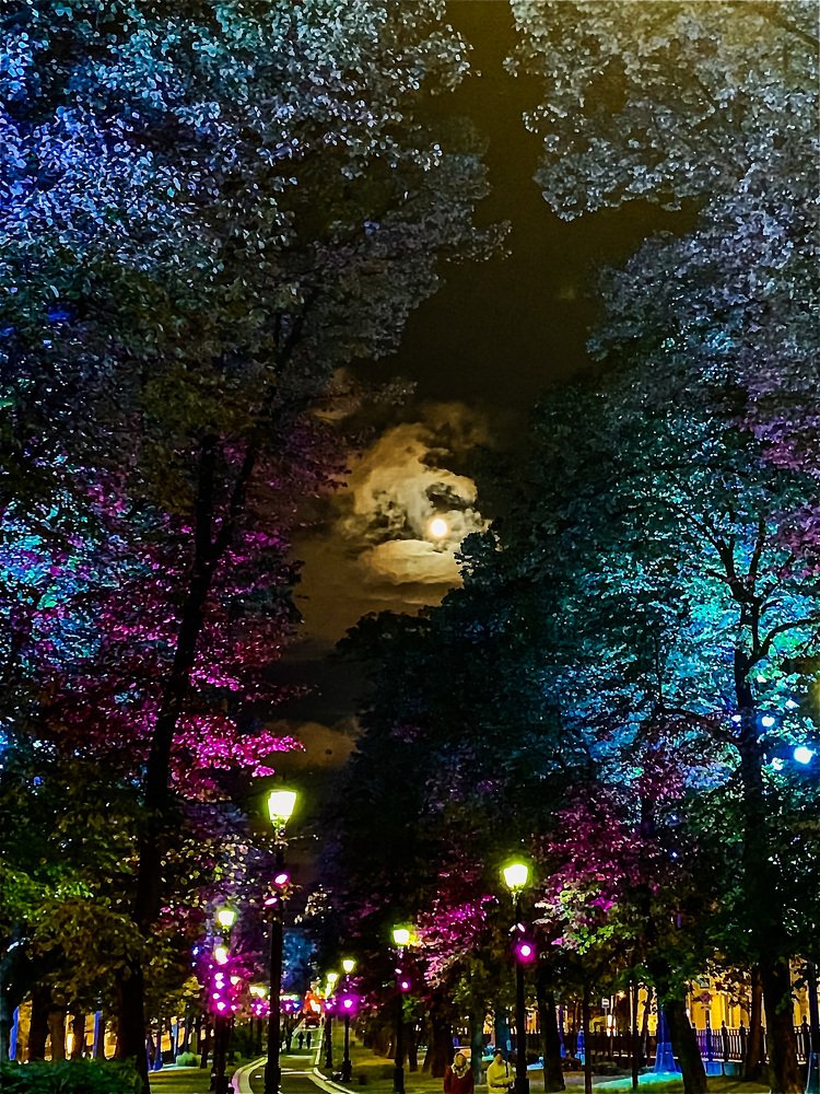 Photograph by Марина Литвинцева