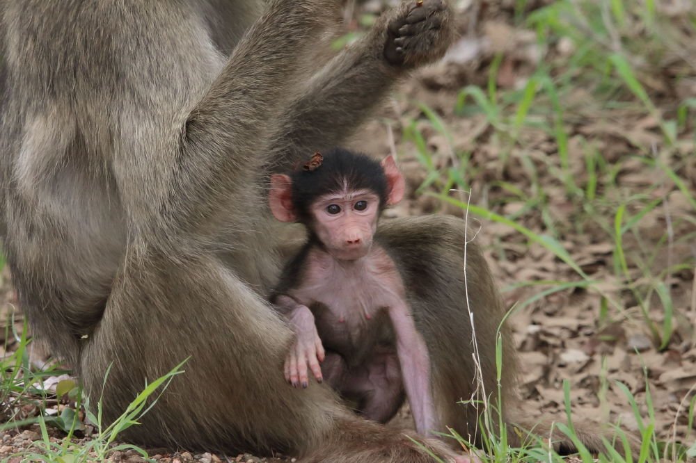 Photograph by Ken Stavrou