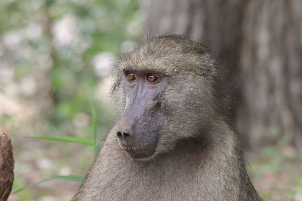 Photograph by Ken Stavrou