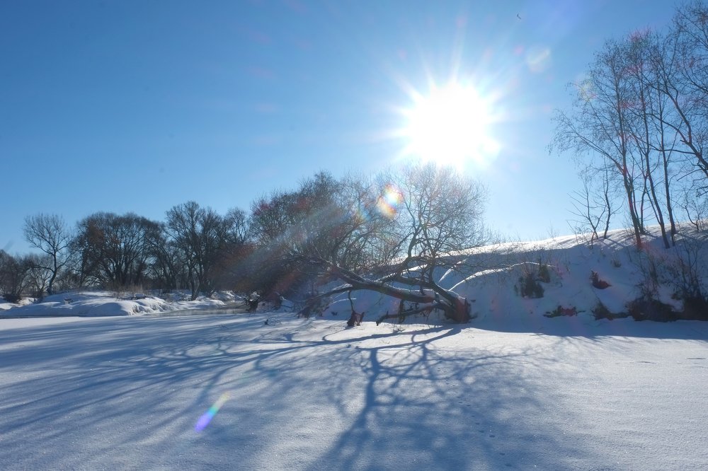 Photograph by Наталья Манусова