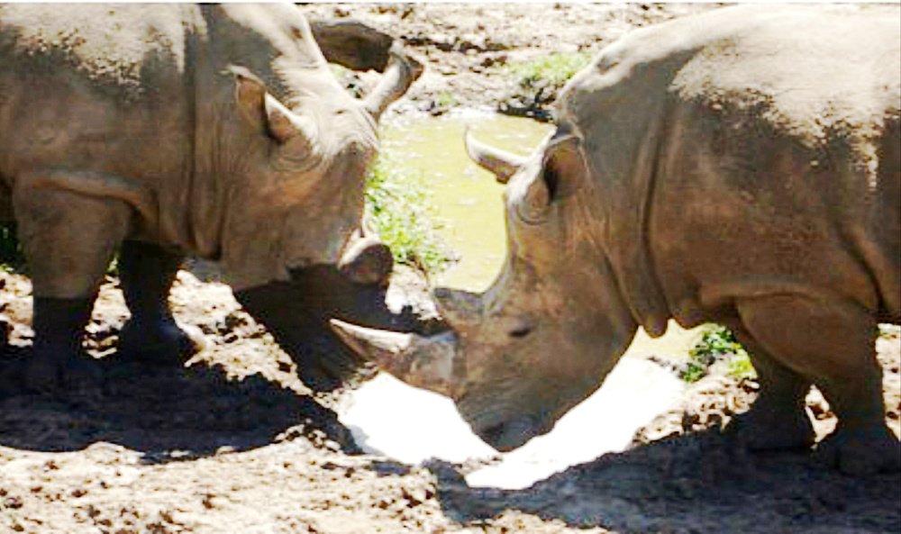 Photograph by Michelle Vaughn