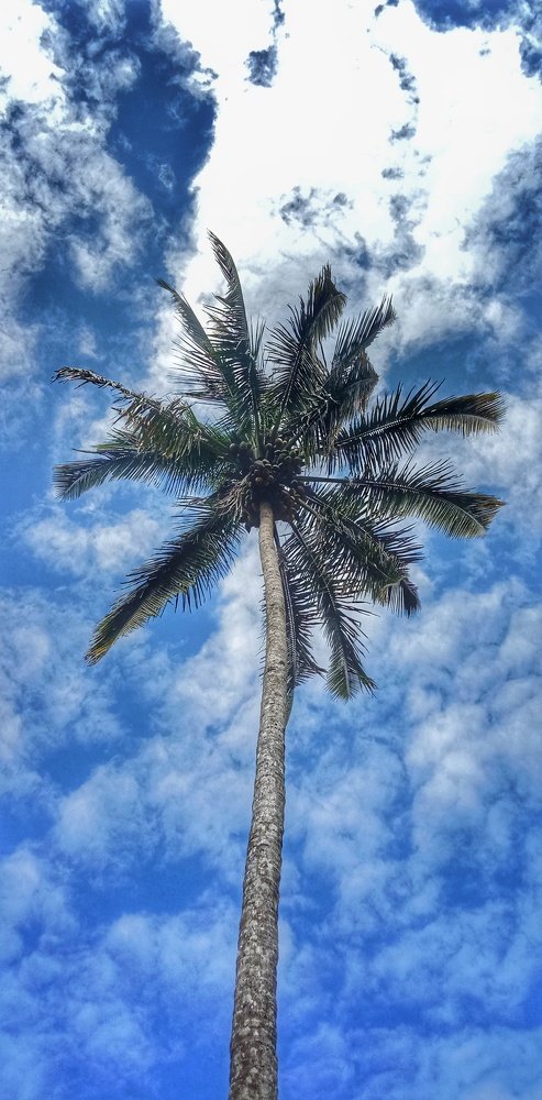 Sky blue