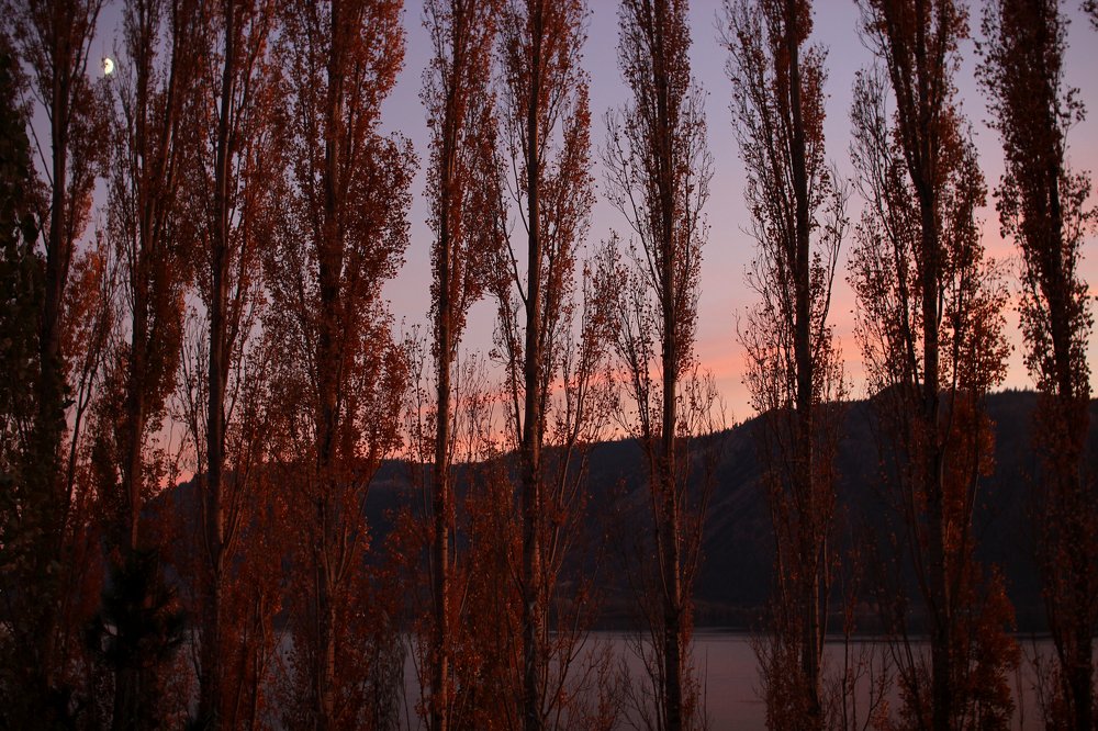 Photograph by Liudmila Parkhomava