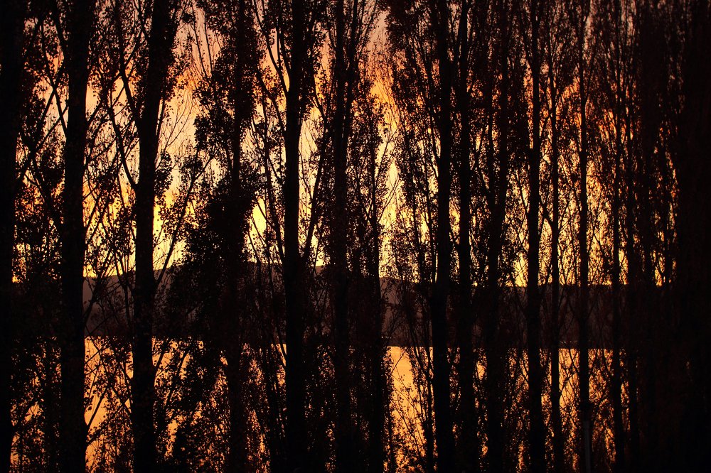 Photograph by Liudmila Parkhomava