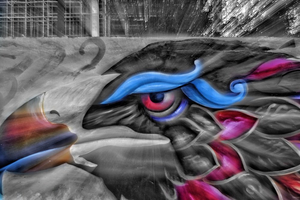 Photograph by Shubh Burman