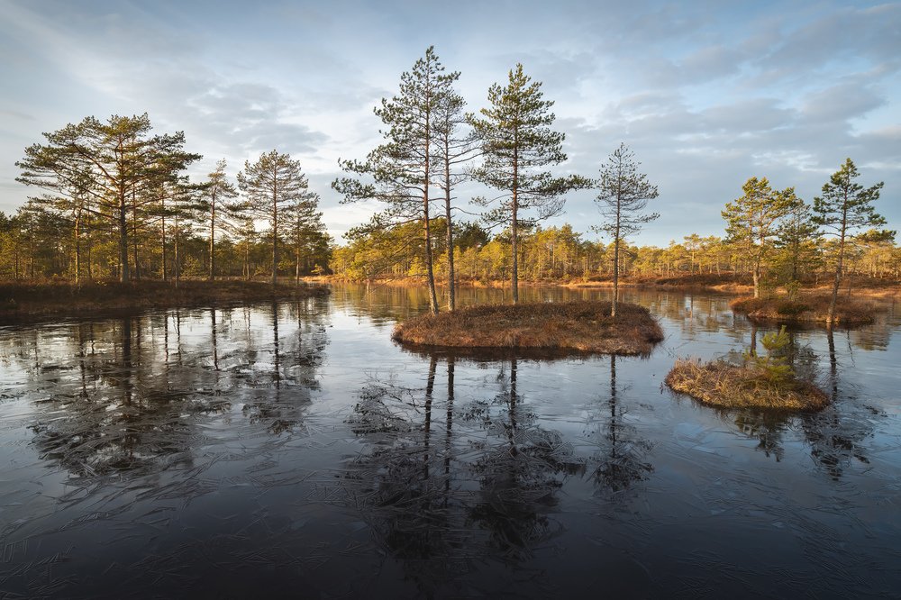 Photograph by Арсений Кашкаров