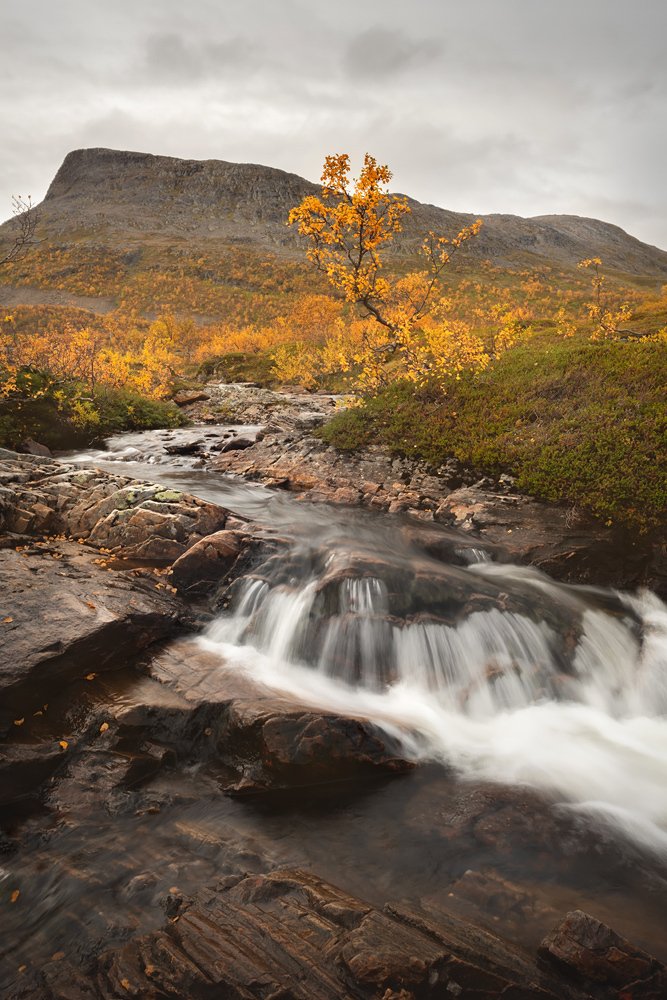 Photograph by Арсений Кашкаров