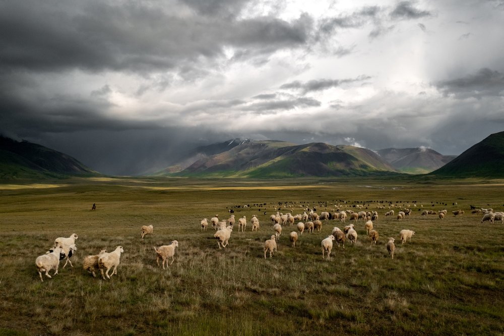 Photograph by Екатерина Климова