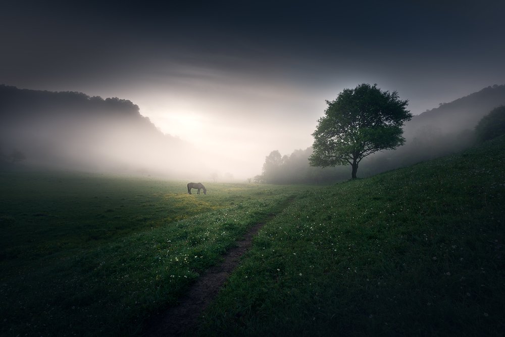 Photograph by 缪克明