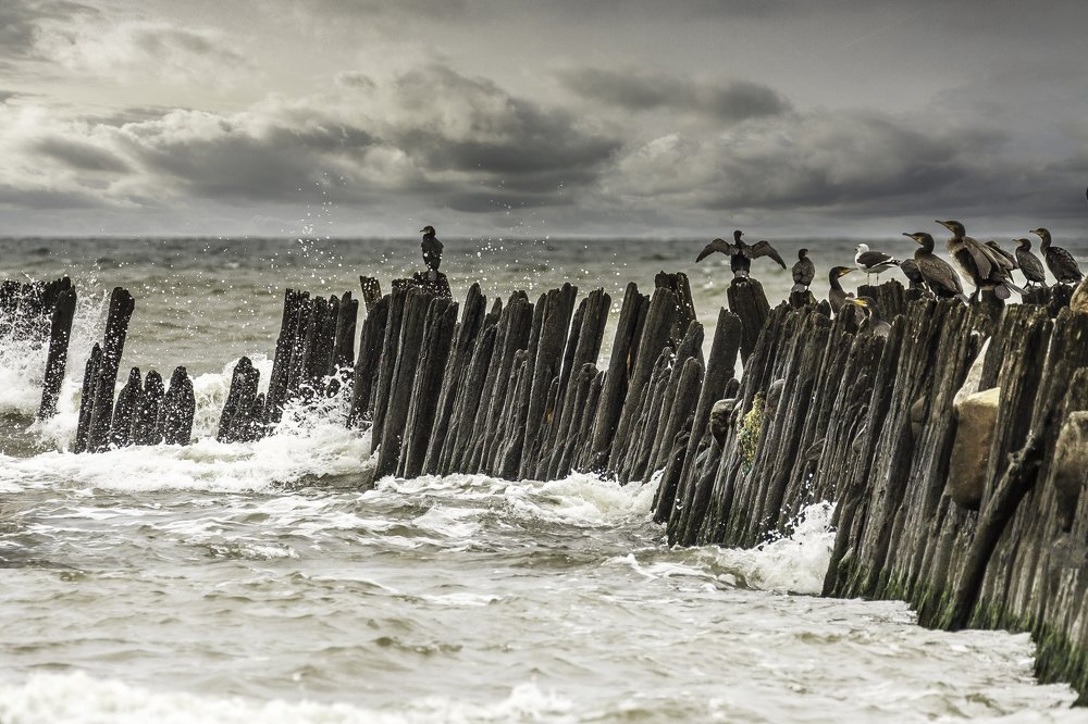 Photograph by Ivars Salmanis