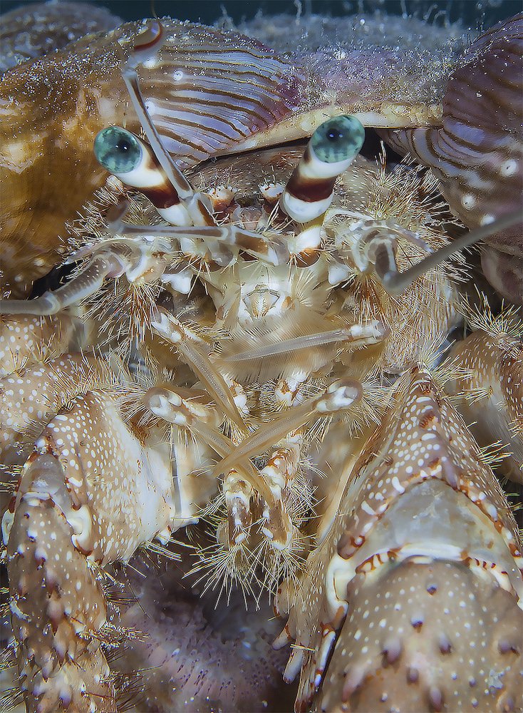 Photograph by Юрий Перевозников