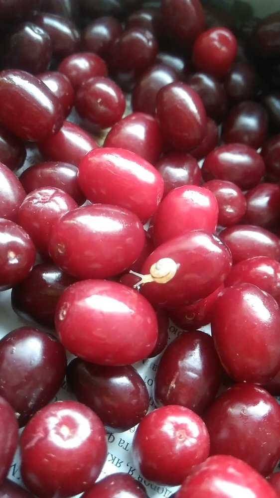 Photo #4028506