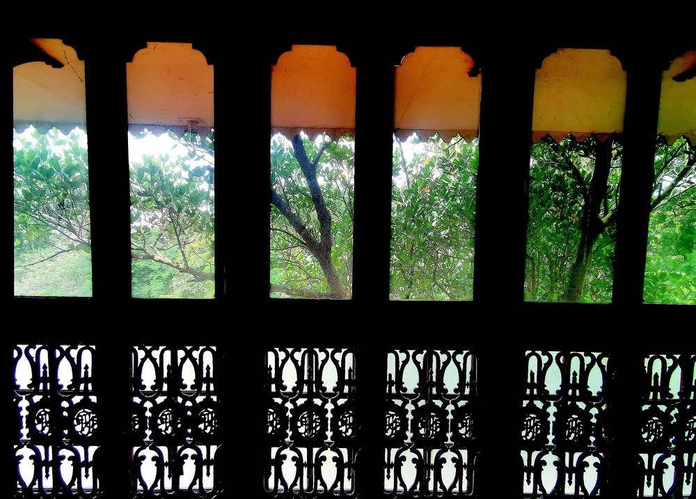 Photograph by Kriti Aggarwal