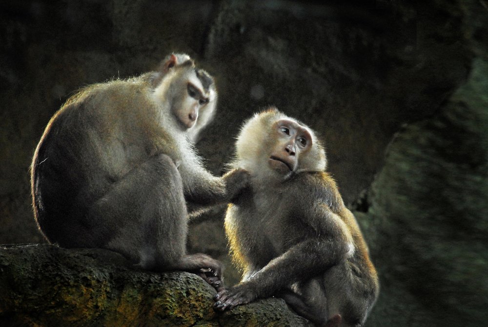 Photograph by Vy Van Bui