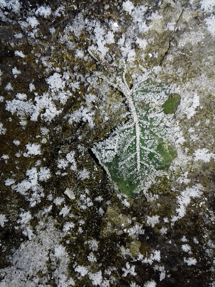 Фотография автора Владислава Андрюнина