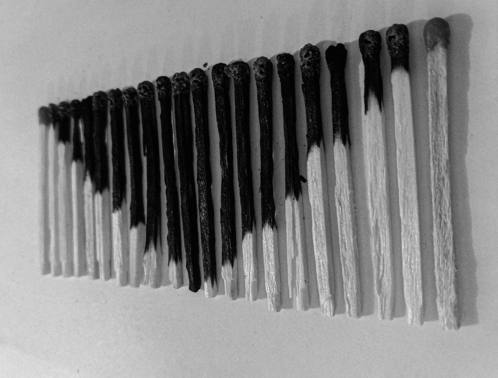 Photograph by Niloufar Bayati