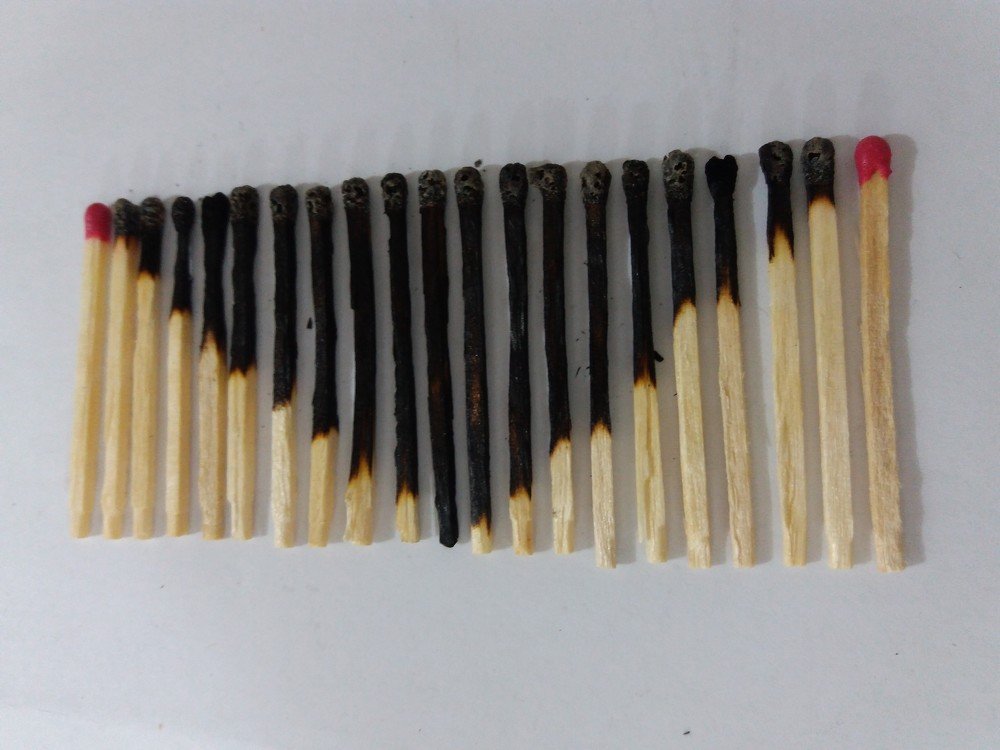 Photograph by Niloufar Bayati