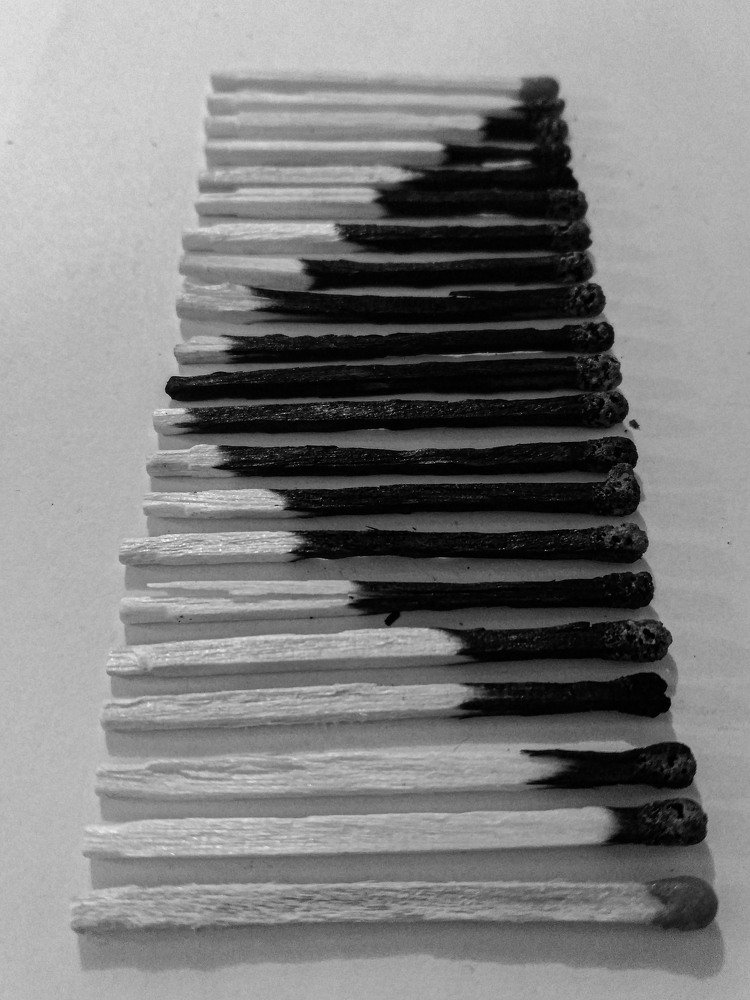 Photograph by Niloufar Bayati