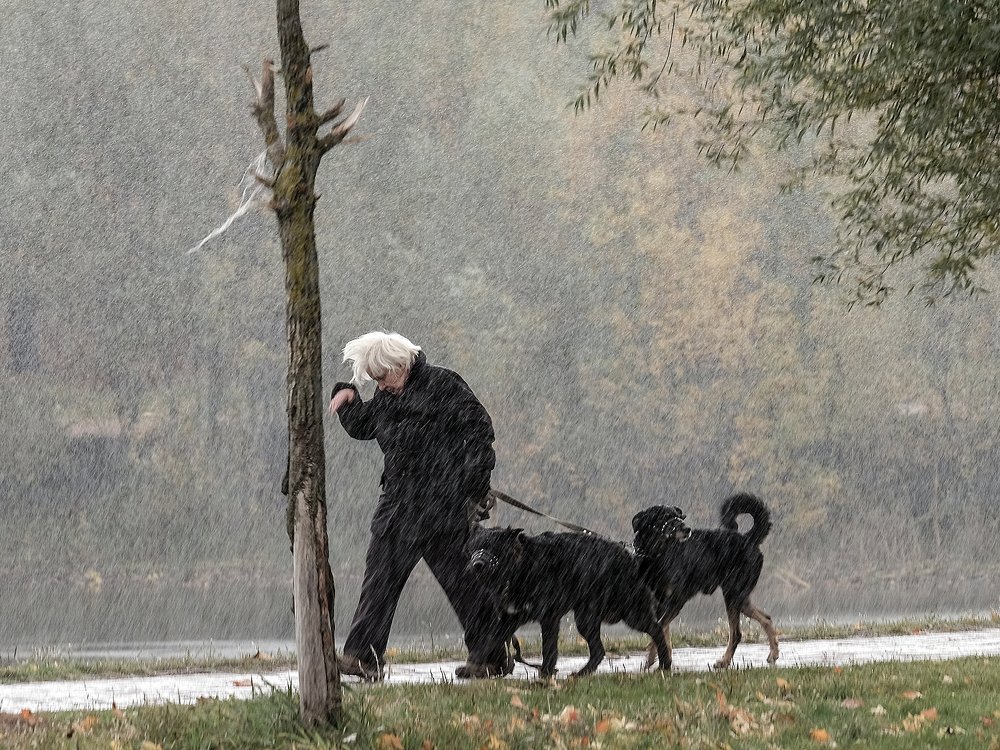 Photograph by Александр Скибицкий
