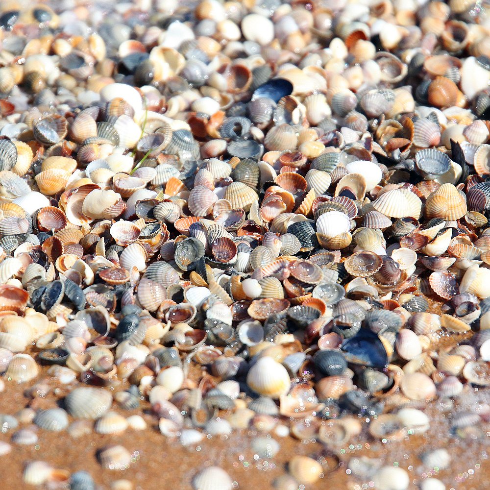 Photograph by Андрей Юдин