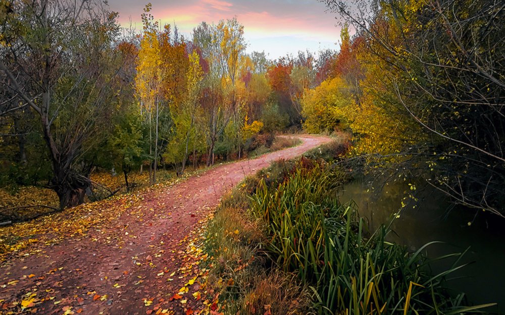 Autumn thousand colors