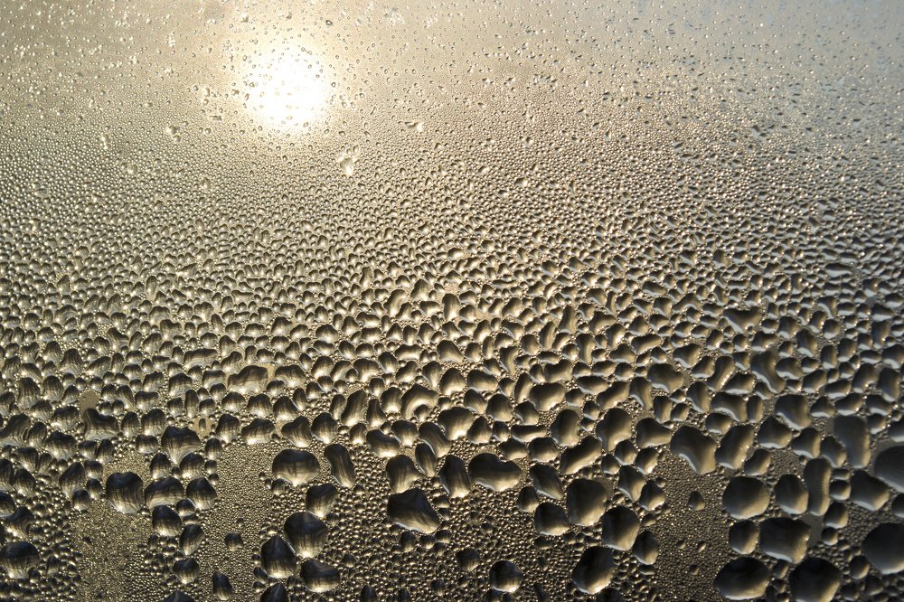 Photograph by Александр Белоус