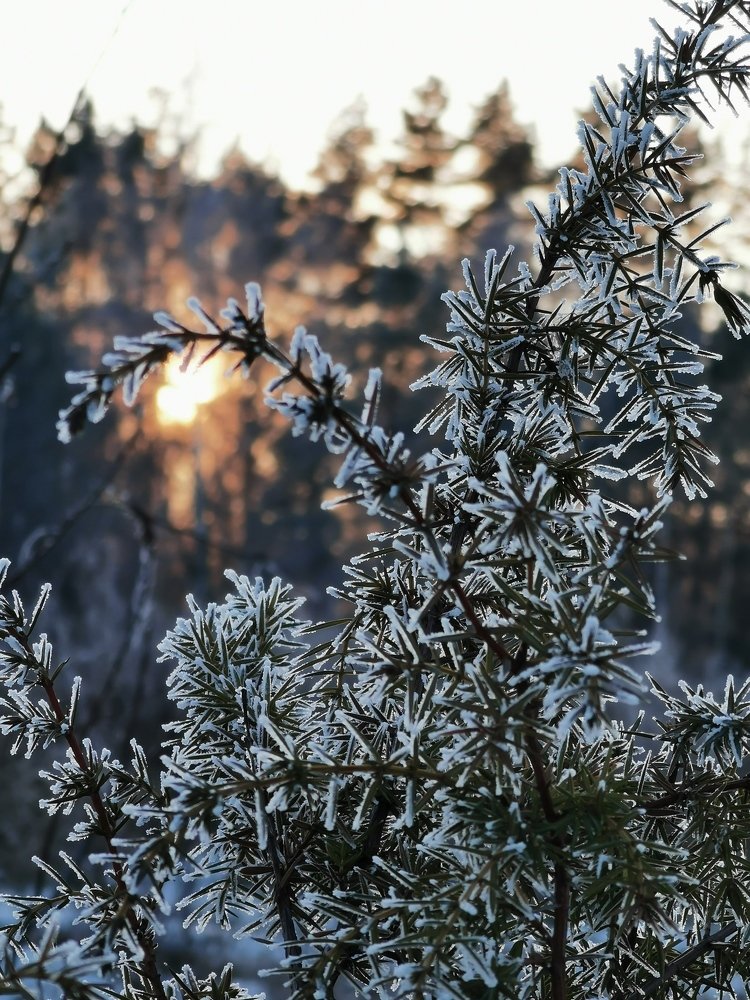Photograph by Александра Скатова
