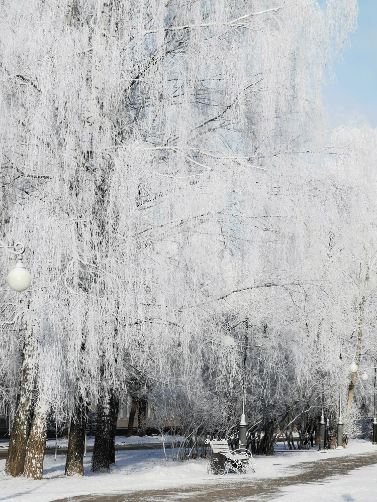 Photograph by Александра Скатова