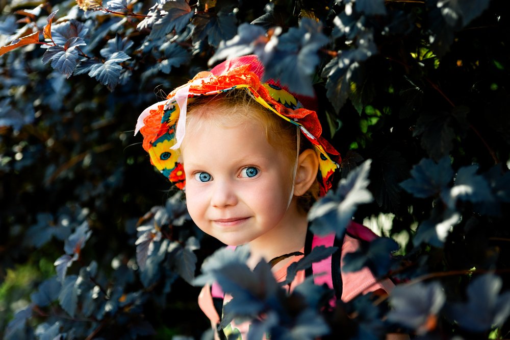 Photograph by Денис Мельников