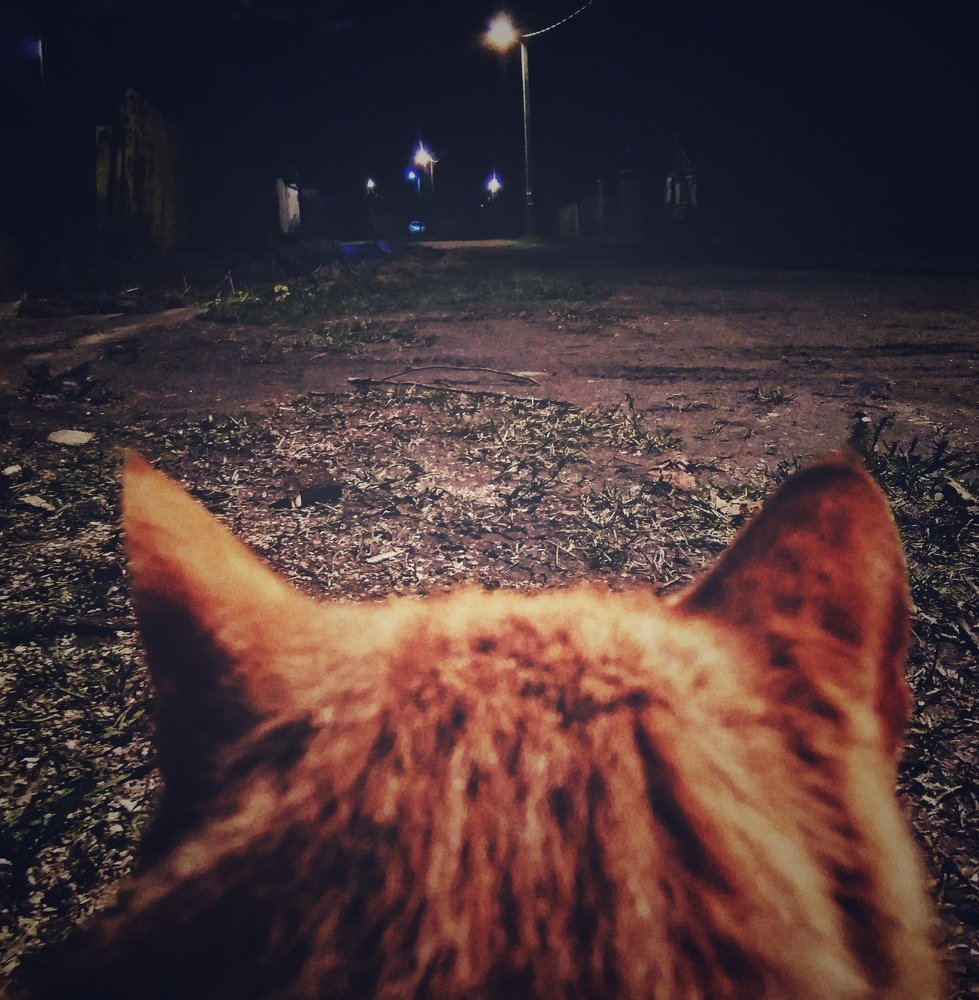 Фотография автора Виктор Конев